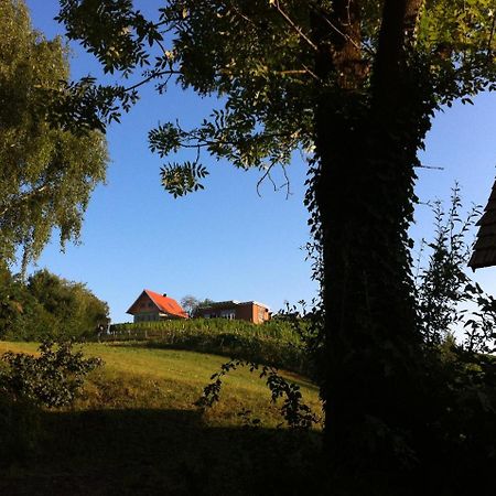 Ferienhaeuser Im Weingarten Fehring Екстериор снимка