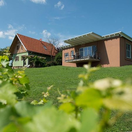 Ferienhaeuser Im Weingarten Fehring Екстериор снимка