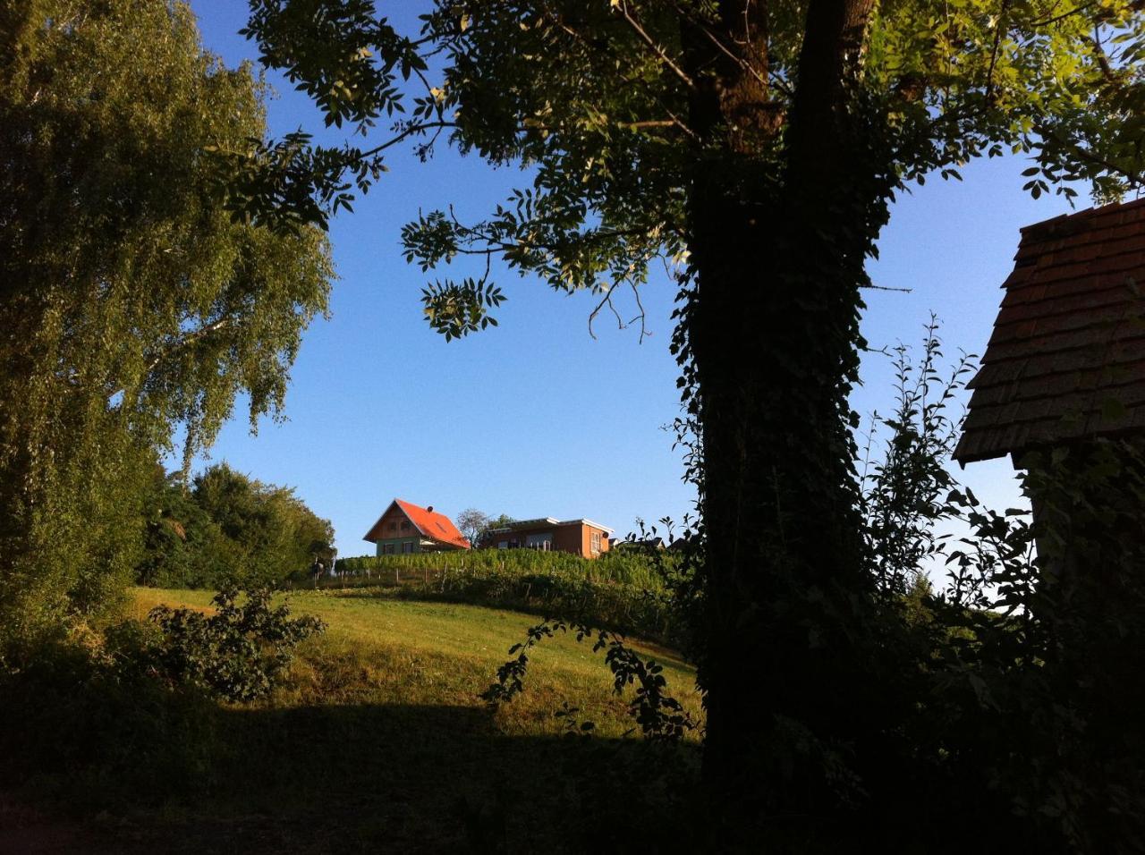 Ferienhaeuser Im Weingarten Fehring Екстериор снимка